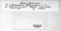 Image Associated With the Occurence